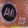 Ami H 200 logo
